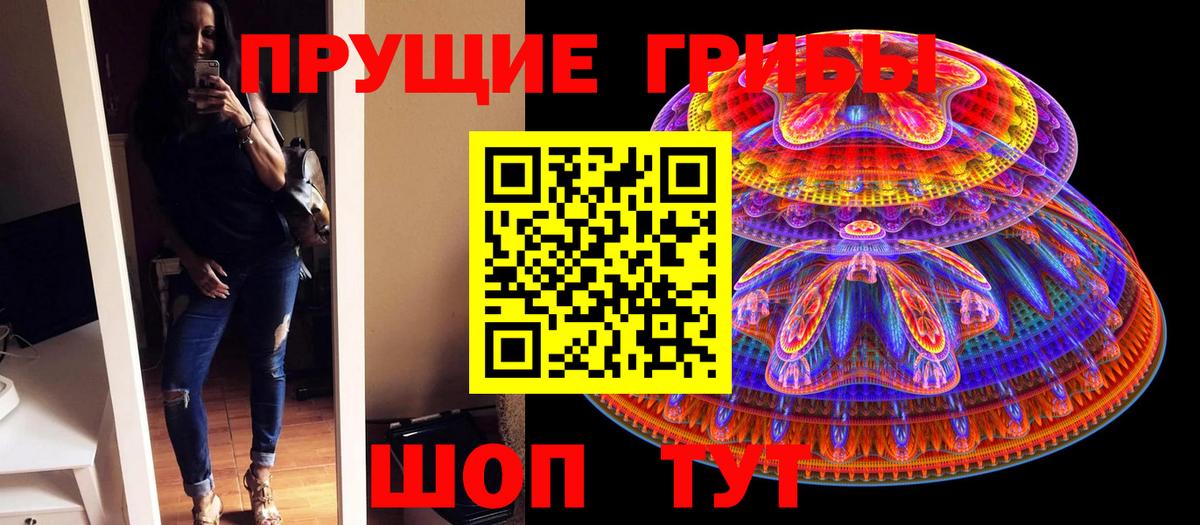 Псилоцибиновые грибы GOLDEN TEACHER Ижевск
