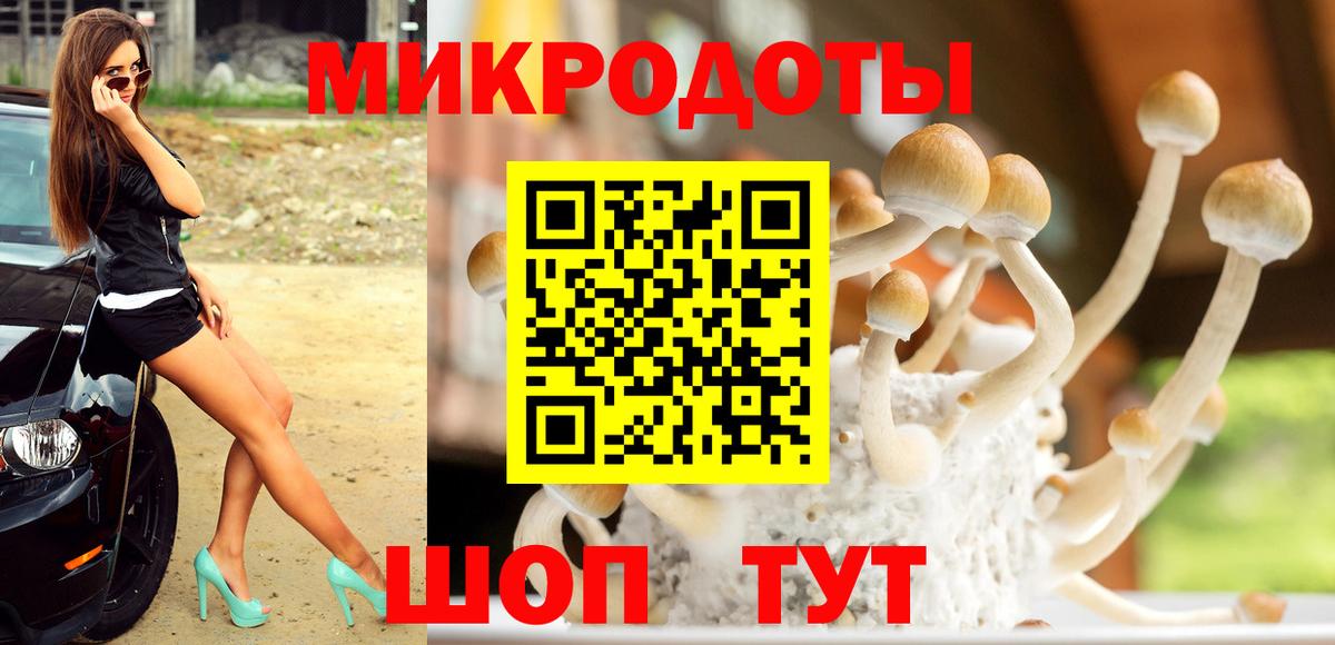 Галлюциногенные грибы мухоморы  где купить наркоту  Вход с VPN  Ижевск  Галлюциногенные грибы MAGIC MUSHROOMS 